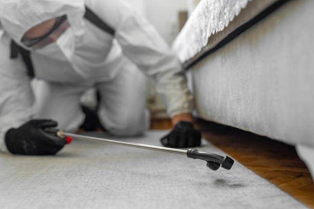 Professional Bed Bug Control technician working in Des Moines, WA