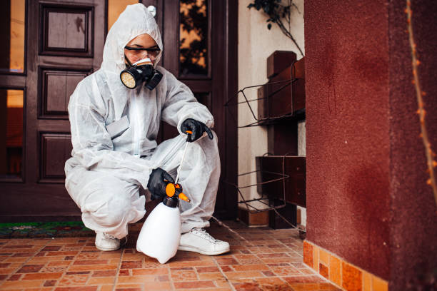 Reliable Bed Bug Control contractor in Des Moines, WA by Nex Pest Control